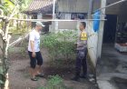 Bhabinkamtibmas Sumbersari Dorong Ketahanan Pangan Melalui Pemanfaatan Pekarangan Bergizi